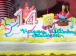 ALEISHA'S  14TH BIRTHDAY PARTY
                2010